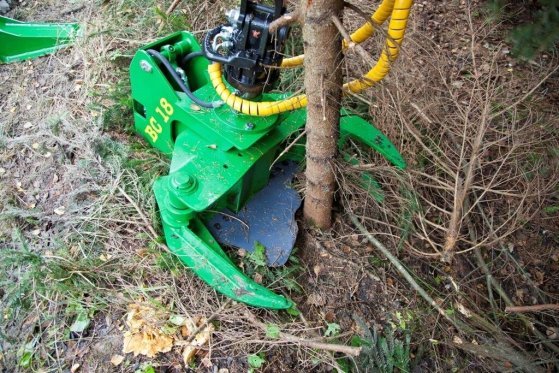 Bomenschaar Bomenschaar 1